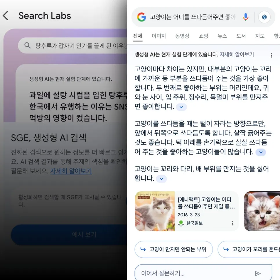 실험실 캡쳐본